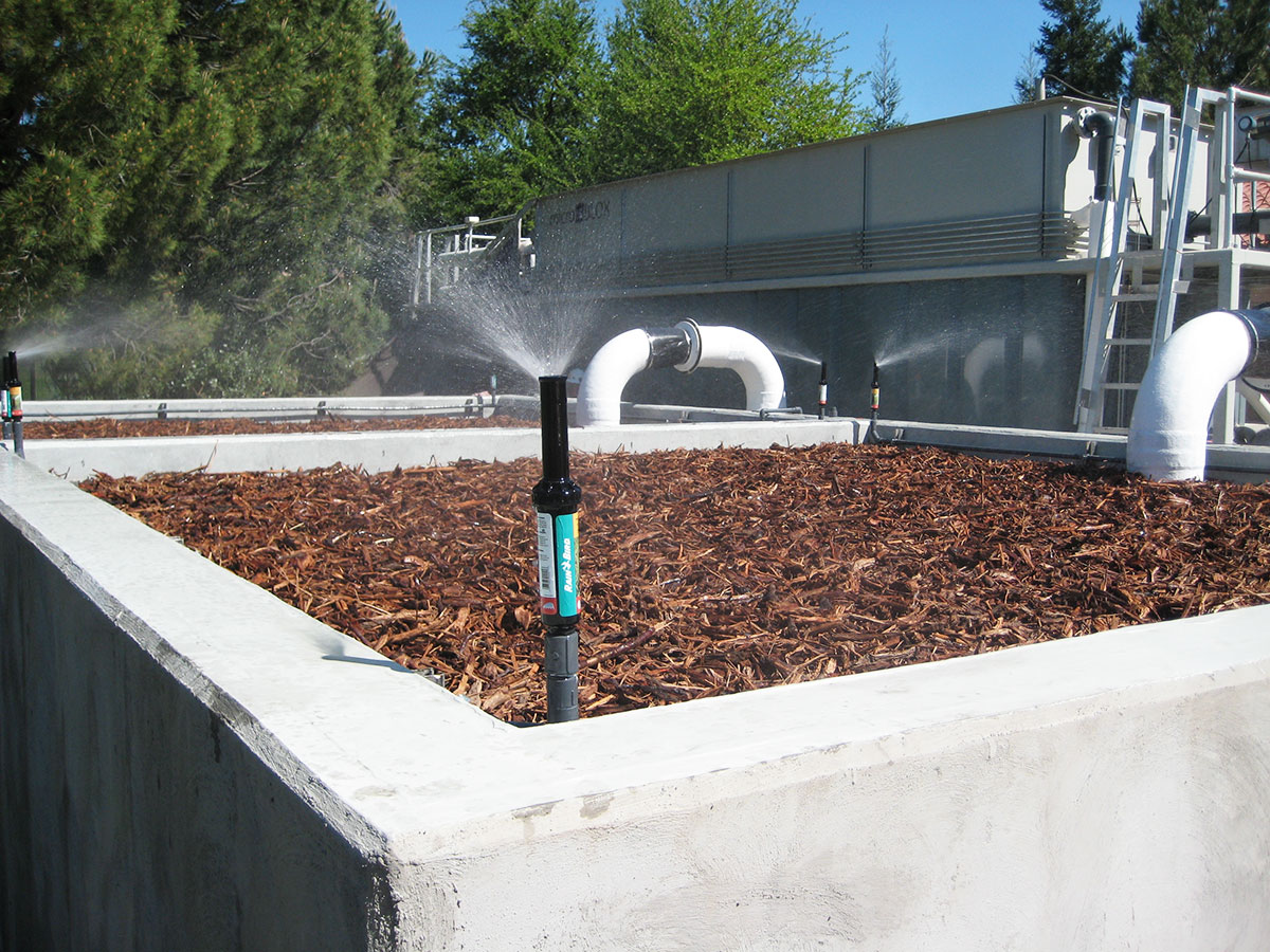 sprinkler bed