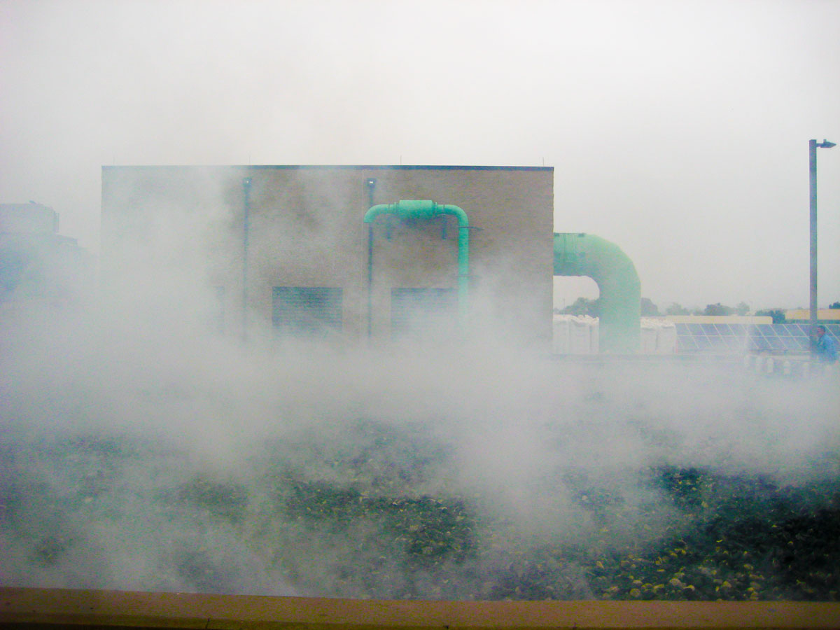 smoke testing